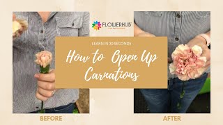 How to open up Carnations in 30 seconds [upl. by Groot]