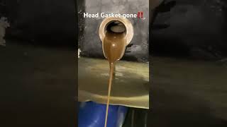 D16 turbo blown head gasket milky oil [upl. by Ellenad]