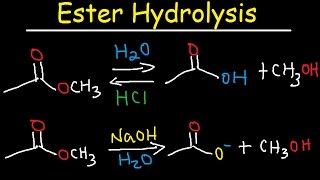 Ester Hydrolysis Reaction Mechanism  Acid Catalyzed amp Base Promoted Organic Chemistry [upl. by Hamlani504]