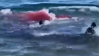 This Swimmer Was BITTEN IN HALF By A Great White Shark [upl. by Virnelli]