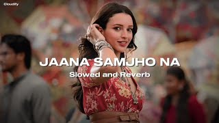 Jaana Samjho Na slowed  reverb • Cloudify • [upl. by Wampler]