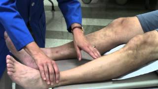 Peripheral vascular system assessment [upl. by Eleets]