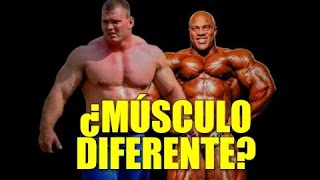 MITO HIPERTROFIA SARCOPLASMÁTICA VS SARCOMÉRICA FUNCIONAL Y NO FUNCIONAL  Héroe Fitness [upl. by Cnut]