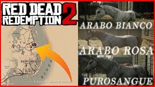 Red Dead Redemption 2  Dove Trovare TUTTI i CAVALLI Nello Stesso LUOGO [upl. by Isherwood629]