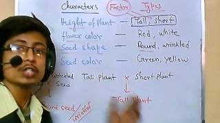 Genetics lecture 3  Law of independent assortment [upl. by Alleda]