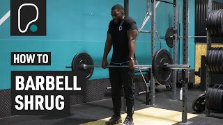 How To Do Barbell Shrugs [upl. by Maletta]