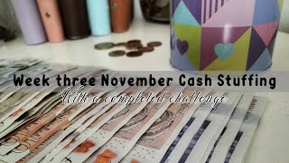 Week 3 November cash stuffing  Low Income  UK cash stuffing  COMPLETED challenge [upl. by Nylimaj]