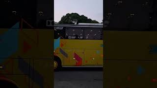 Bus Tividi busjawa busmania [upl. by Apul]