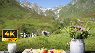 picnic zillertal austria سەیران لە نەمسا zillertal gopro12 [upl. by Fariss]