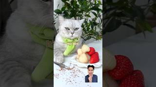 PUDING STRAWBERRY tiktokcatvideos easyfoodrecipes ngeshortsdulu ngeshortsdulu [upl. by Cuhp]