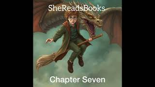 Harry Potter and the Goblet of Fire Chapter Seven  Audiobook [upl. by Burt939]