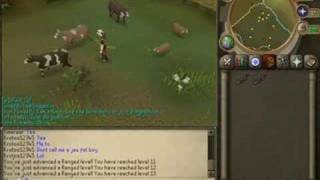 how to fix runescape hd graphics lag [upl. by Erbas]