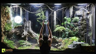 I Added a Grim Reaper Into My Giant Rainforest Vivarium [upl. by Rusticus884]