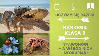 Biologia klasa 6 Stawonogi Uczymy się razem [upl. by Ehcrop]