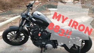 SHOWING OFF MY IRON 883 1000 SUBS MOD CHALLENGE [upl. by Emelda690]