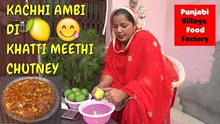 Aam ki Chatni  Raw Mango Chutney  Mango Chutney  Chutney  Mere Rashke Qamar Sing by my wife [upl. by Ailenroc]