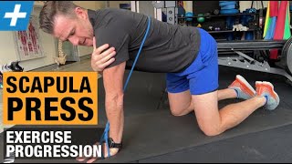 Scapula Press Exercise Progression for Serratus Anterior and Winging  Tim Keeley  Physio REHAB [upl. by Boice]