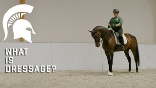 What is Dressage [upl. by Renferd]