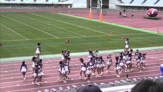 関西学院大学応援団総部チアリーダー部 DOLPHINS ２０１１・１１・２７ [upl. by Durham]