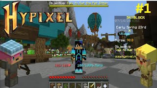 Hypixel Skyblock EP 1 in Hindi [upl. by Roxie188]