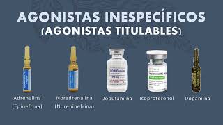 Farmacología del sistema adrenérgico Parte 23  Dr Martín Hornos [upl. by Anitrebla66]