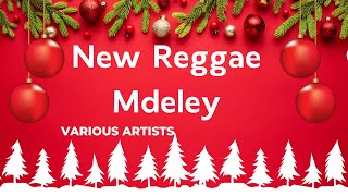 New Reggae Medley  Various Artistskaraoke [upl. by Maller]