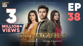 Dil Hi Tou Hai Episode 38  Ali Ansari  Zoya Nasir  14 Nov 2023  ARY Digital [upl. by Vachil465]