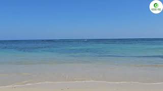 Splashing Sea waves on The Caribbean coastline [upl. by Betsy]