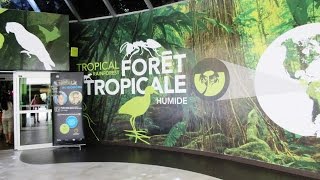 Biodome de Montreal Tropical Rainforest Birds amp Animals  Canada [upl. by Hutchins]