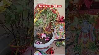 Tulsi Rani ka vivah hshortvideos viralvideo tulsi tulsivivah youtubeshorts viralsong love [upl. by Juakn856]