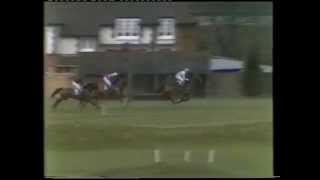 1981 Freshfields Holidays Handicap Chase [upl. by Ecar]