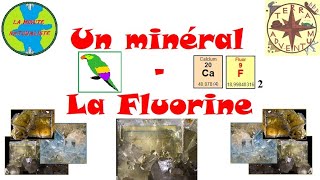 Un minéral  la Fluorine Minute Naturaliste 15 [upl. by Ayote945]