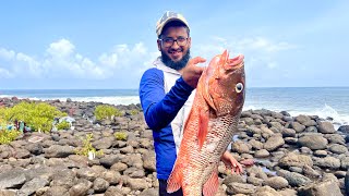 Amazing BIG Snapper barra grouper fingermark non stop fishing from Shore Crazy shrimps Lure fishing [upl. by Weisbrodt]