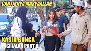 MASYAALLAH CANTIKNYA KASIH BUNGA CANTIK BIKIN BAPER PART 6 [upl. by Georgette]