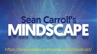 Mindscape 71  Philip Goff on Consciousness Everywhere [upl. by Cinda]