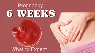 6 week pregnancy baby growthwhat to expect during week 6 of pregnancy6th week of pregnancy [upl. by Rosita542]