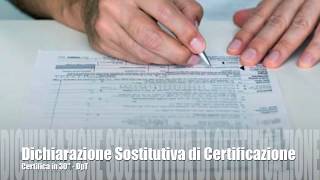 COME FARE Dichiarazioni Sostitutive di Certificazione MiniGuida [upl. by Nnayram853]