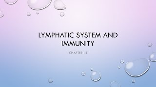 Lymphatic and Immune systems Anatomy and Physiology 2 [upl. by Hameean]