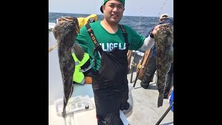 Northern California Lingcod Fishing Farallon Islands and Rockfish [upl. by Nosde]