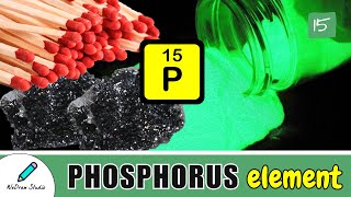 Phosphorus Chemical Element 🌟  Periodic Table  Facts amp Uses [upl. by Glantz665]