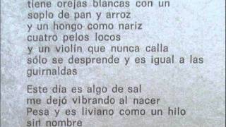 Spinetta  Canción para los días de la vidaavi [upl. by Aidnac]