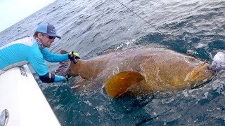 Giant Grouper Handline Fishing Challenge  4K [upl. by Boeschen673]