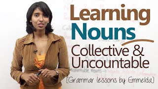 Learning Nouns  Collective amp Uncountable Nouns  Basic English Grammar Lessons [upl. by Aivlys440]