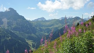 Die Alpenblumen im Kleinwalsertal  Wanderung auf dem AlpenblumenLehrpfad [upl. by Aynwad]