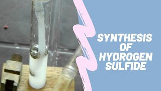 Hydrogen Sulphide [upl. by Boys930]