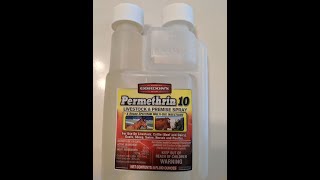 Does Permethrin Work on Wasp Nests [upl. by Farrell46]