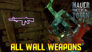 Mauer Der Toten  All Wall Weapon Locations Black Ops Cold War Zombies [upl. by Leachim353]