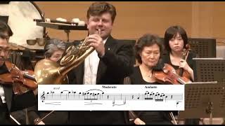 Cadenza mozart k495  concerto n4 Mozart  Radek Baborak [upl. by Publias428]