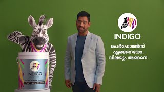 Indigo Paints Endorsement 20 Sec Malayalam HD [upl. by Varick]