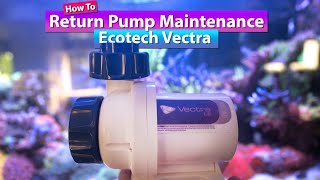 Return Pump Maintenance  How to properly Clean your Return pump  Ecotech Vectra S2 M2 L2 [upl. by Andie844]